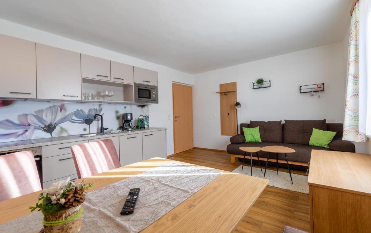 Haus Pitzer/Apartments Troicher Schladming Kültér fotó