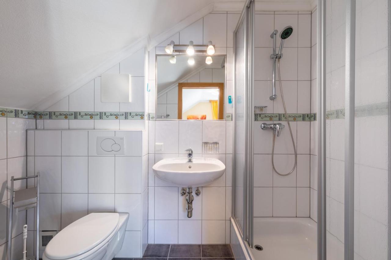 Haus Pitzer/Apartments Troicher Schladming Kültér fotó