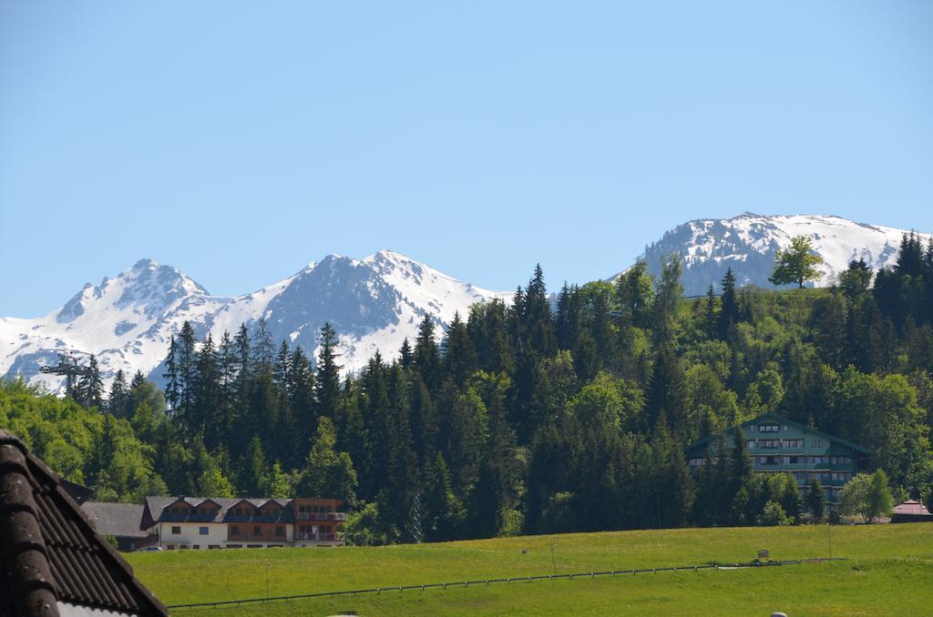 Haus Pitzer/Apartments Troicher Schladming Szoba fotó
